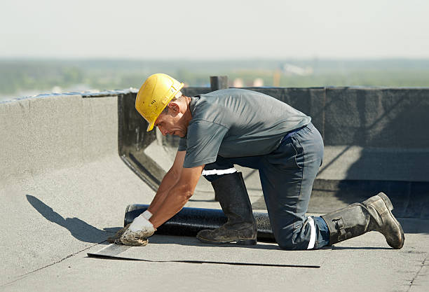 Best Residential Insulation in Roland, AR