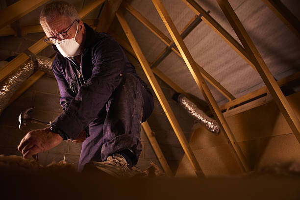 Best Geographic-Specific Insulation Services in Roland, AR
